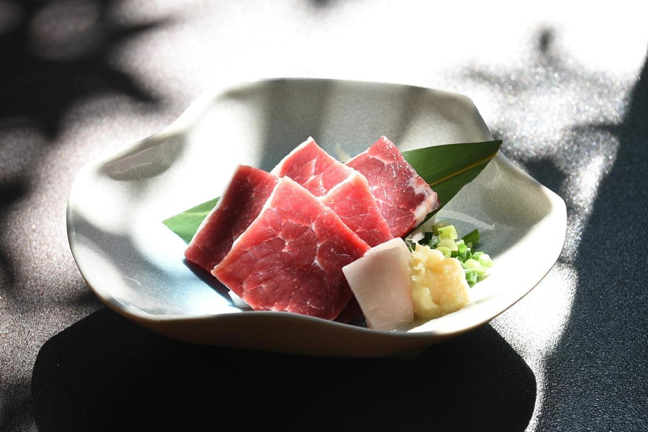 Hitoyoshi Ryokan Exteriér fotografie